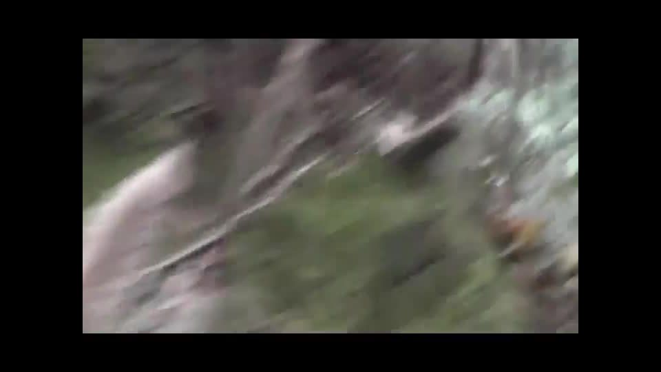 Older couple caught fucking in the  woods