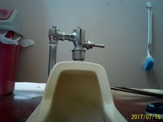 Porn online Voyeur – Japanese toilet style – wcdahui28-9