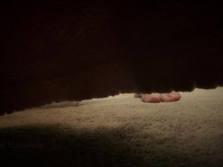 adult xxx video 9 DommeTomorrow – CUCK UNDER the BED – Femdom Pov, Cuckolding | fetish | creampie femdom bondage blowjob-1