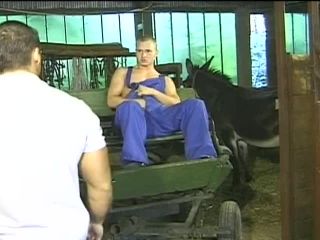 Errant Farmhand Taught A Lesson With Hardcore Doggy Anal Gay!-2