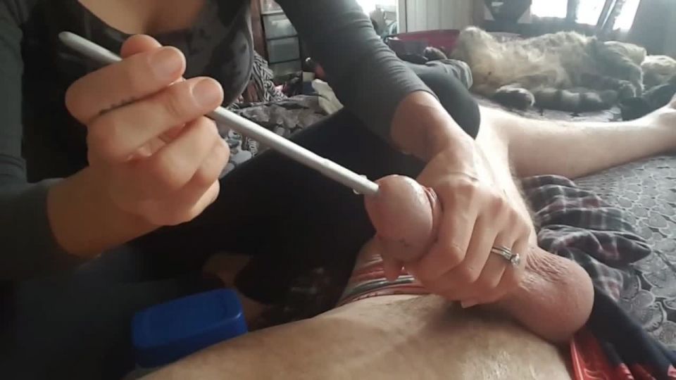 online clip 15 Homemade wife femdom cock stuffing, petite femdom on femdom porn 