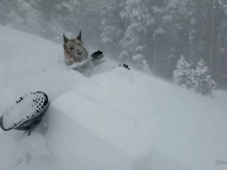 Heather Harmon Heatherharmon - we are having a major blizzard here we going inside after this and having lunch then sex 14-03-2021-2