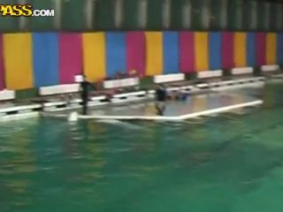 Wtfpass.com- Real couple porn after dolphinarium-4