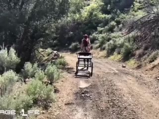 Pony Cart Walk-0