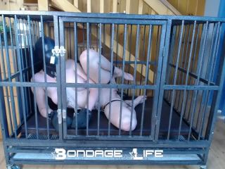 free porn clip 15 Bondage Life – Cage Time With Clamps Rachel Greyhound on femdom porn free cfnm femdom-7