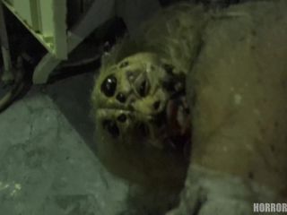 Horror Porn - Female Spider - E17-6