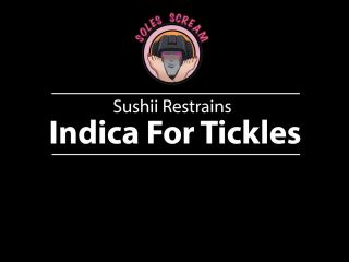 SolesScreamExperience - Sushii Restrains Indica For Tickles.-5
