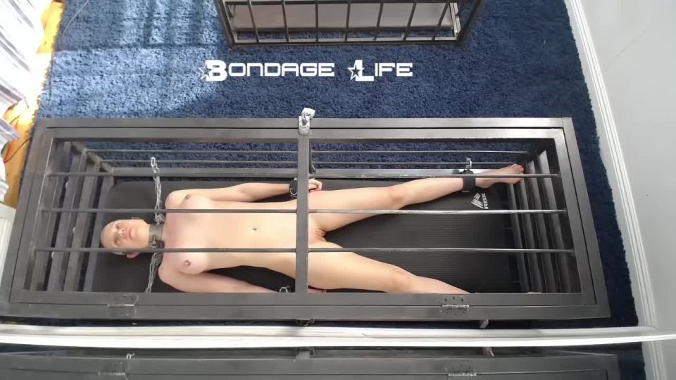 Cage Time With Greyhound - 12.01.21 Sex Clip Video Porn D...