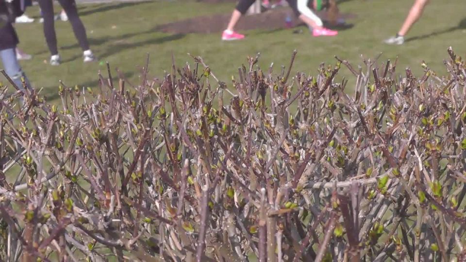 Fit girl stretching in the park