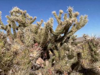 Banging In The Desert Sexy Hiking And Fucking 1080p-0