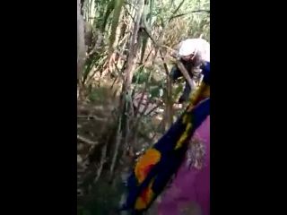 Desi aunty and old man caught having sex public forest video by-7