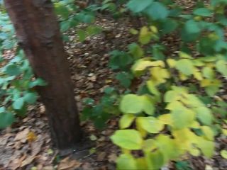 Redkittycat - Walking around City Park with Stepsister and Making Public Sex in Forest  - cumshot - teen amateur animals-4
