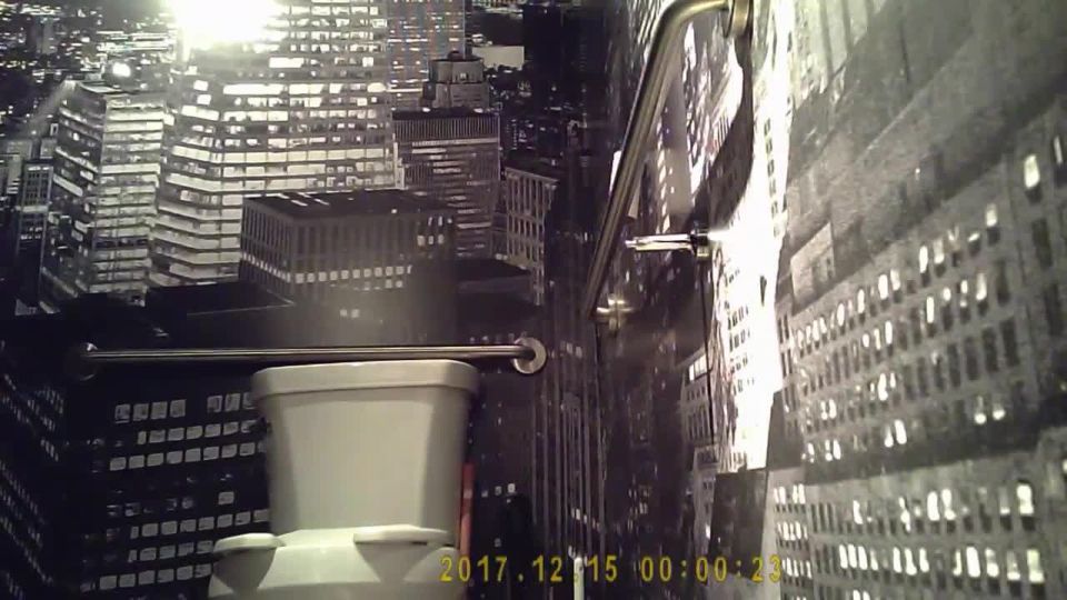 Toilet Indoor – hz 24523 | voyeur | voyeur