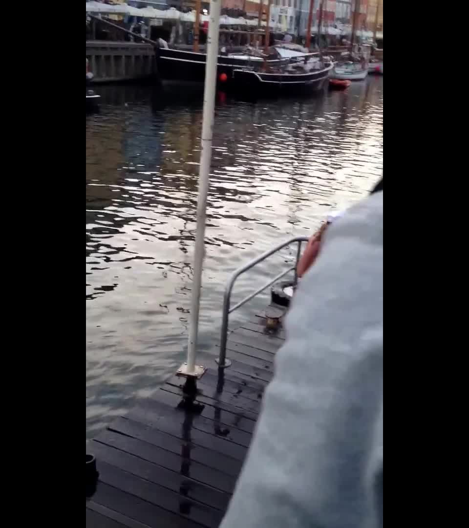 Homemade_-_Nude_Students_Girls_Hopper_In_Nyhavn_Copenhagen_08-08-2013_Telephone_camera_