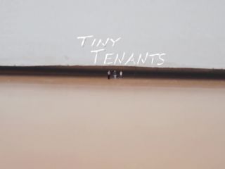 Tiny Tenants-5