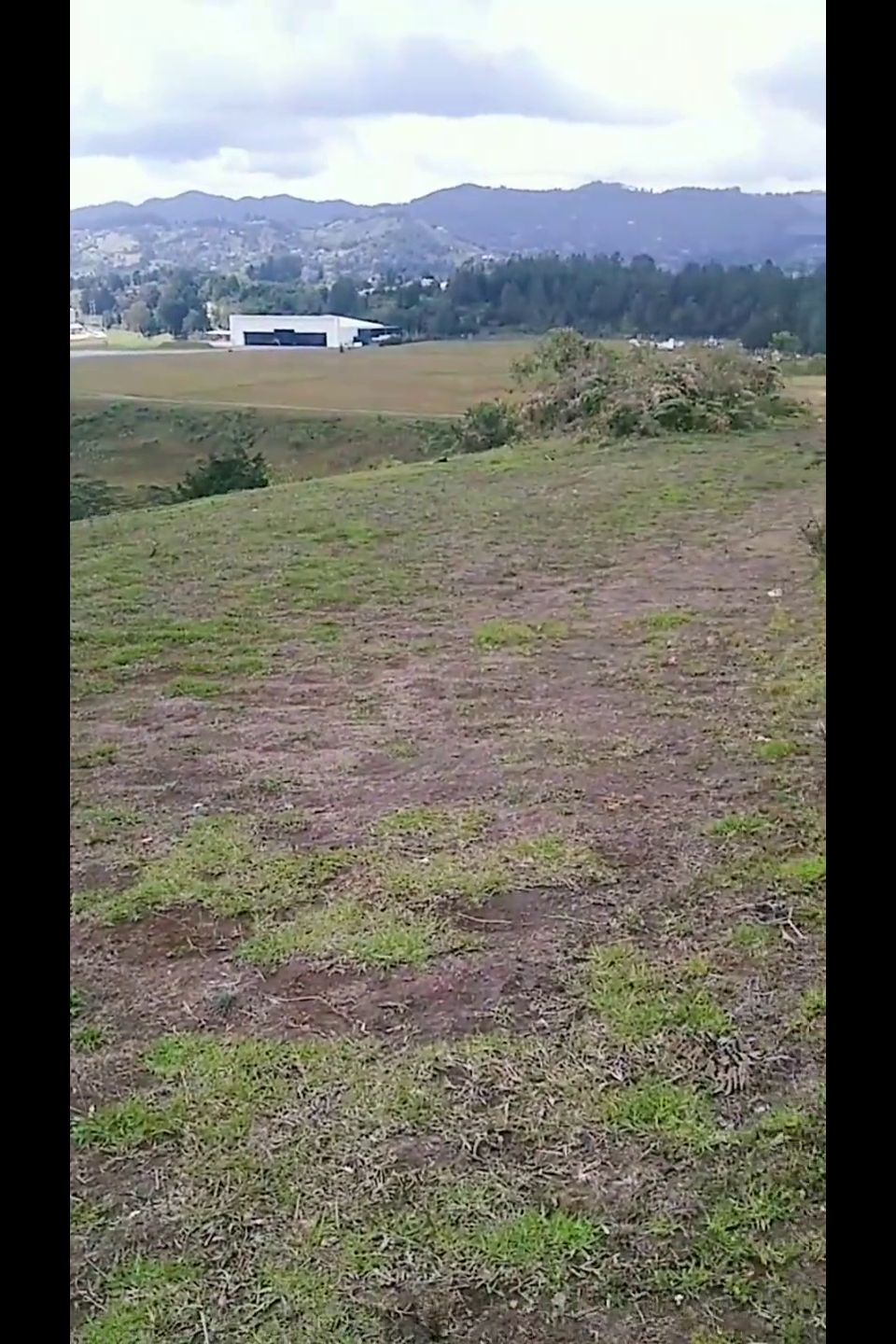 La Encuentro Sola En El Bosque Y Terminamos Fumando Y Follando En Públi