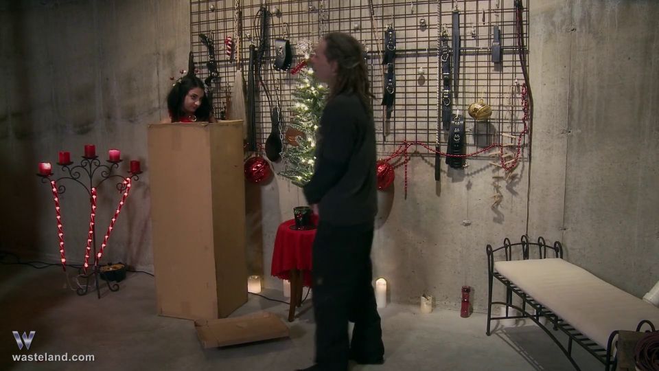 A Very BDSM Christmas