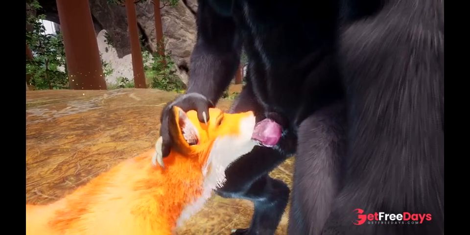 [GetFreeDays.com] Huge Cock Black Pather Creampies Petite Furry Fox Yiff PoV Hentai Porn Leak December 2022