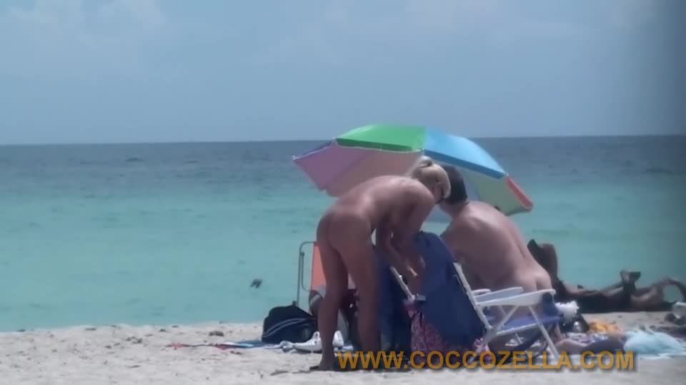 {0633-sharkey-haulover-5 (mp4, 540p, 99.88 Mb)|0633-sharkey-hau