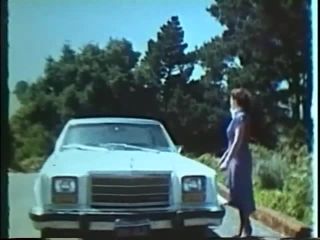 Swedish Erotica 308 Flat Tire 1970's-0