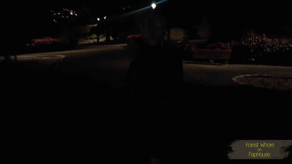 online video 12 sheena anal Forest Whore - Sucking a real stranger's condoms eating trash and dirt. My absolutely extreme night walk, amateur on public