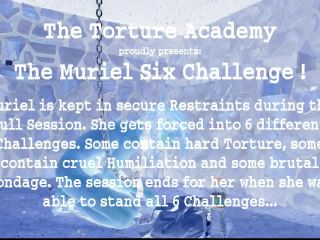 The Muriel 6 Challenge - Waiting for the next challenge ...-0