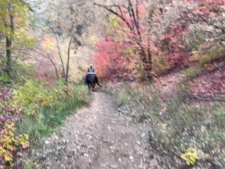 M@nyV1ds - NataliaLeo - Horseback Riding In The Mountains-3