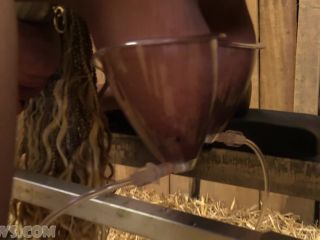 adult clip 14 one piece swimsuit fetish Hucows – Cleo – taken to the barn, bdsm on femdom porn-4