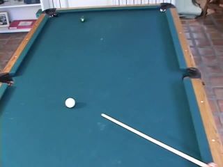 online adult clip 8 Pool Shark - jenaveve jolie - fetish porn butt crush fetish-0