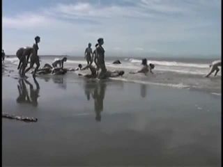 Bunch of nudists exercising on the  beach-3