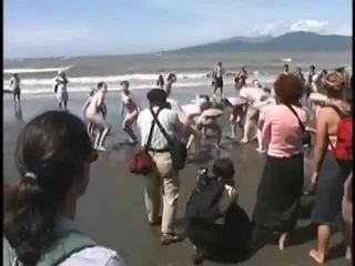 Bunch of nudists exercising on the  beach-5