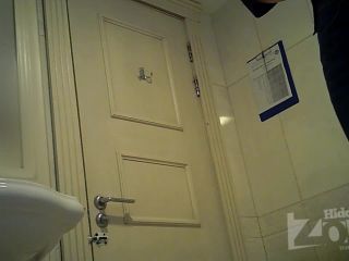 Hidden Zone WC – hz Wc2977 | voyeur | voyeur-6