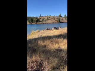 free porn clip 29 black bbw femdom OnlyFans – PrincessJess – Hiked up to this gorgeous lake, public sex on cumshot-8