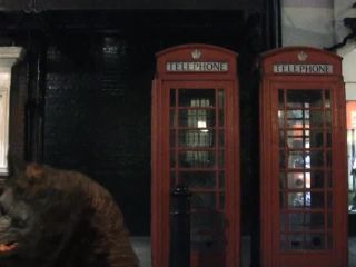 American Werewolf In London XXX featuring Sophie  Dee-9