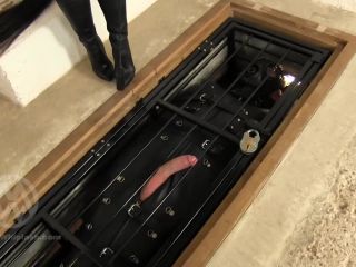 Mistresswhiplash: Wl1478 : Confined Cock Torture And Whipping (1080 Hd) (New !! Added 01/03/20) - Female Domination-4