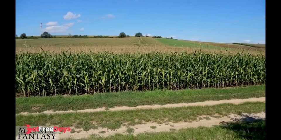 [GetFreeDays.com] Jerking and sucking my tied boyfriends cock in a cornfield - Outdoor Blowjob Porn Clip February 2023