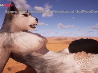 [GetFreeDays.com] Female Furry wants Big DickLuna x Jack011Wildlife3D Adult Stream July 2023-1