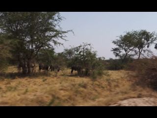 Sunny Sex In Africa  LunaS Journey Episode 28 1080p-7