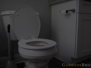 free porn clip 42 almost femdom wife Goddess Alexandra Snow - Toilet Cleaner, dirty talk on masturbation porn-0