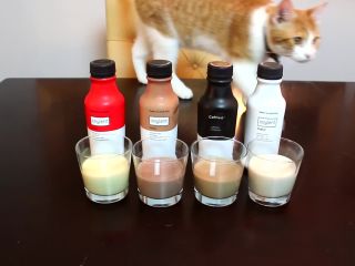  teen | Tidecallernami – Taste Test And Review Of All Four Soylent Flavors | teens-8