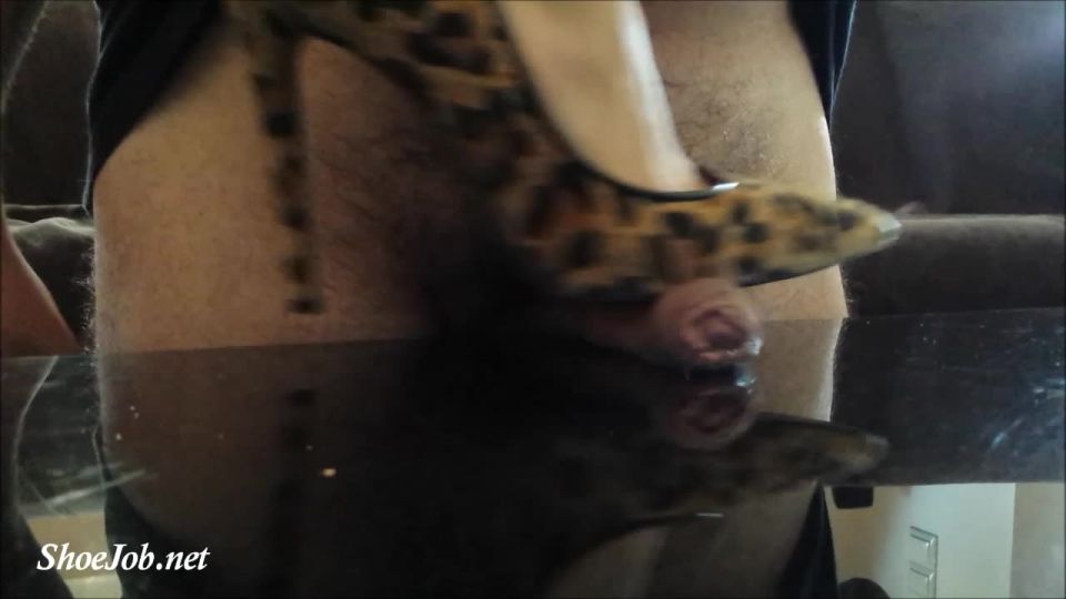 Teasing Cock With Leopard Heels – Shoejob Desires - (Feet porn)
